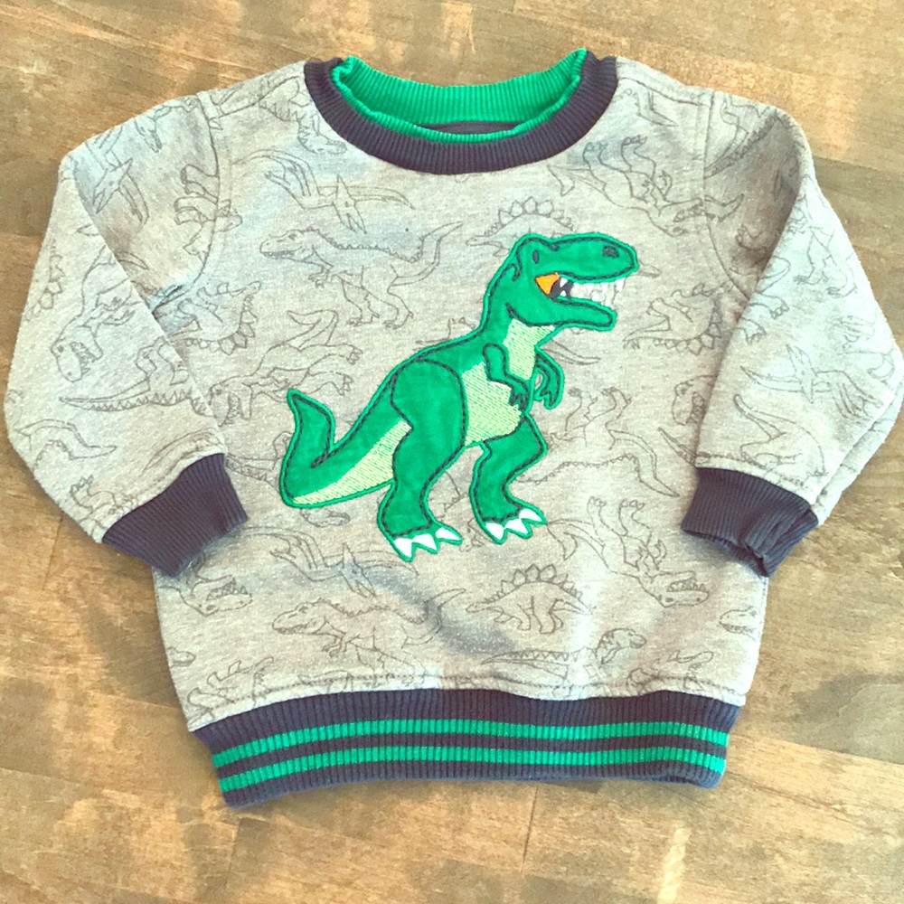 Dinosaur sweatshirt - toddler boys 18mo